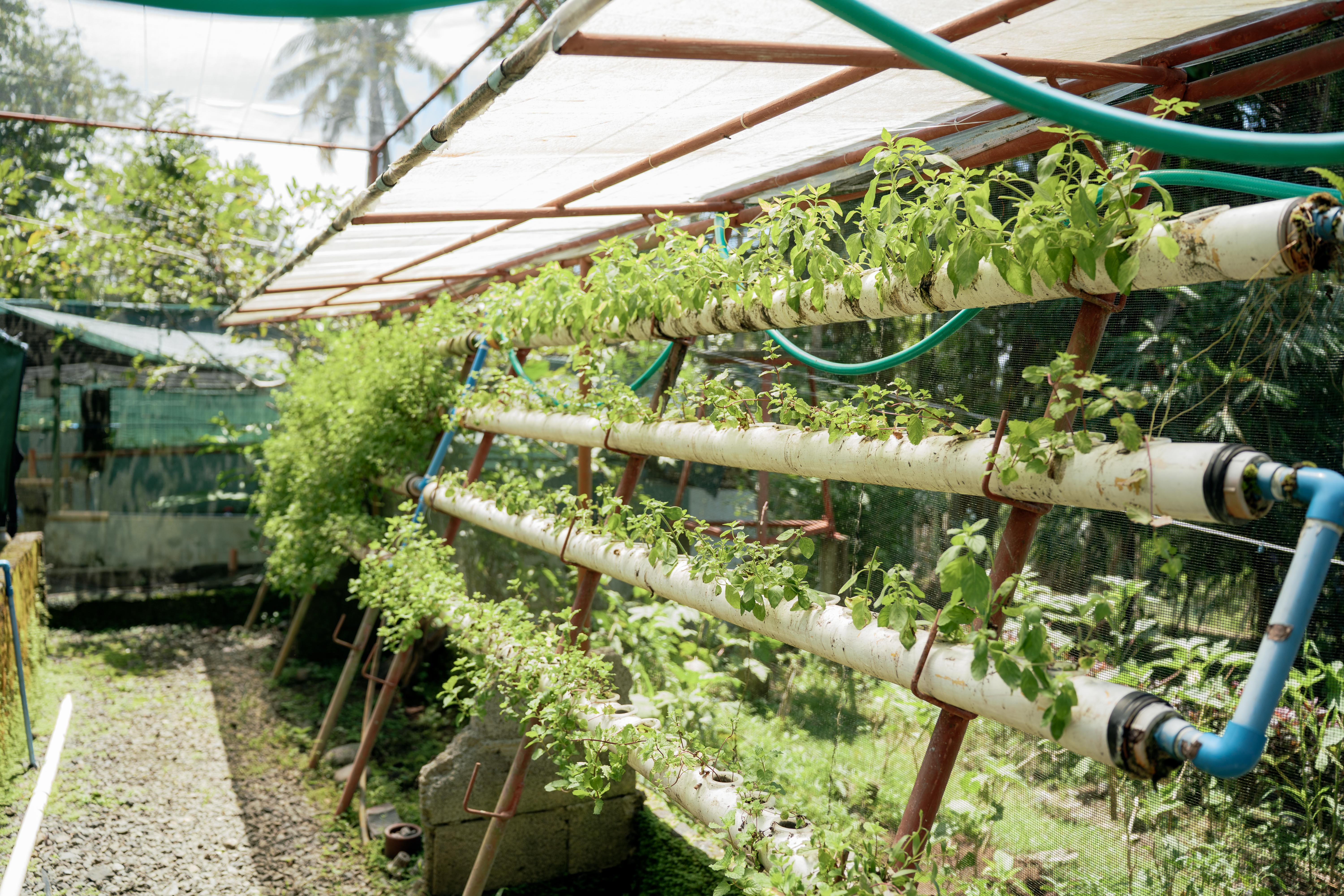 Eco-Friendly Features