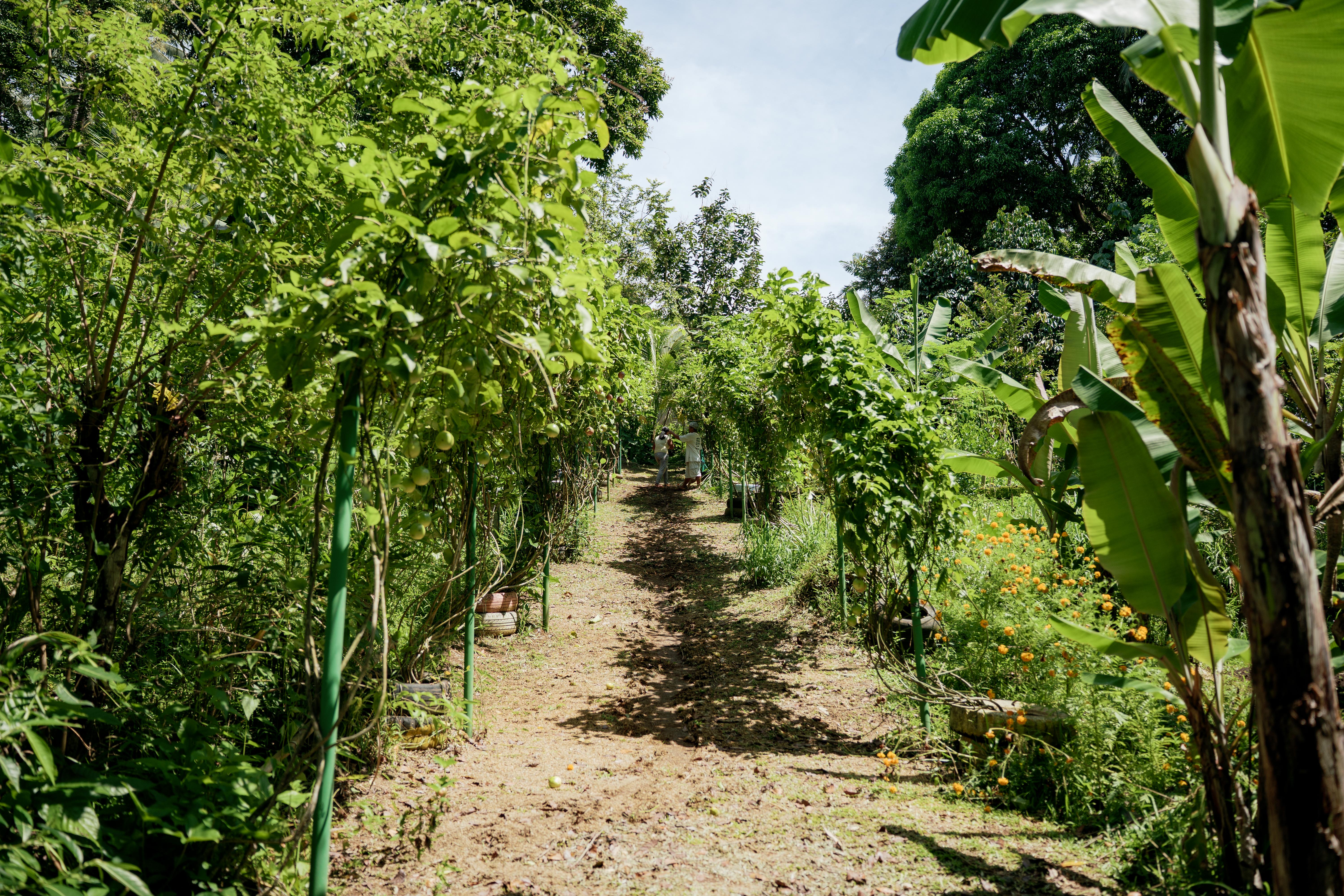 Sustainable Living