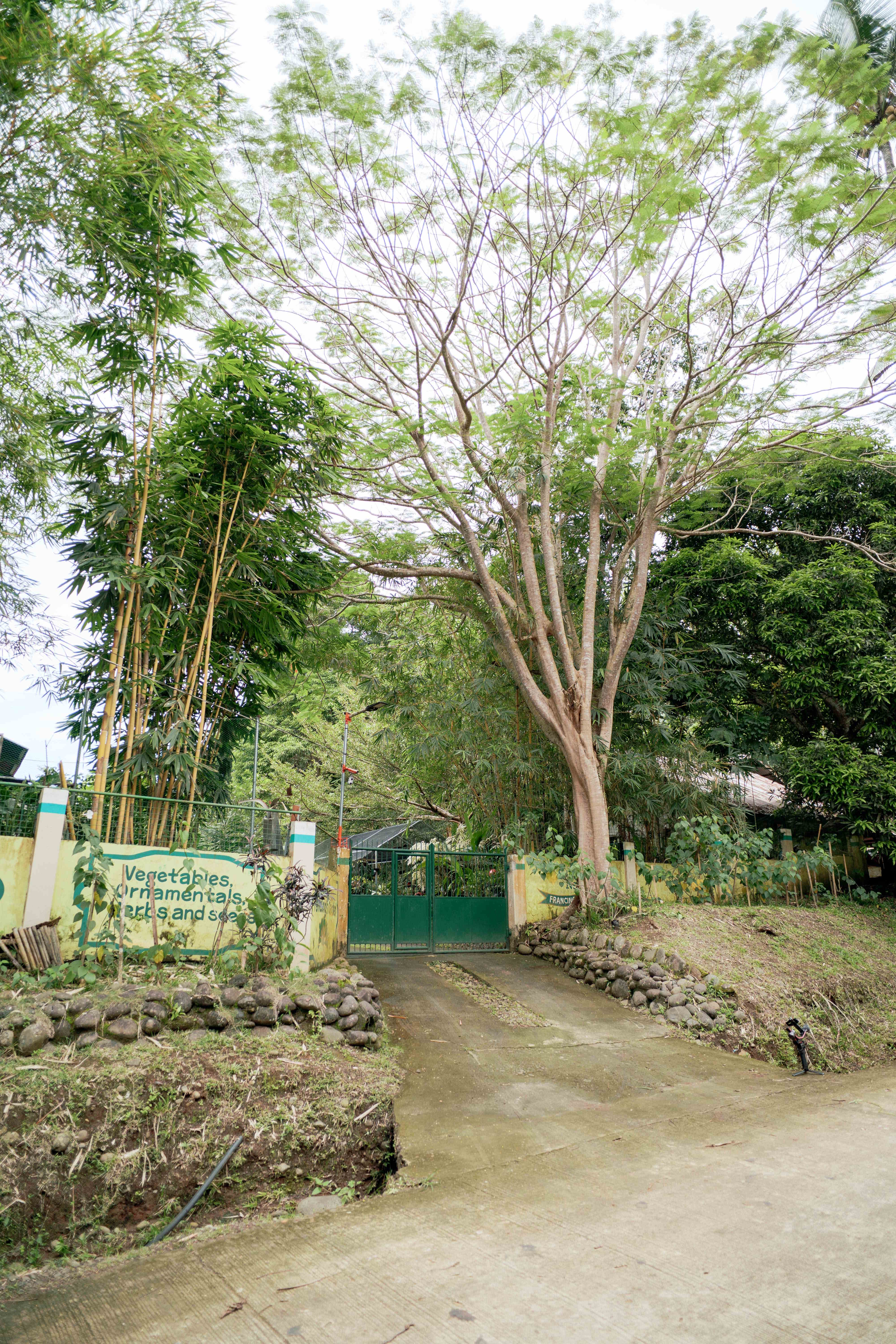Entry Pathway