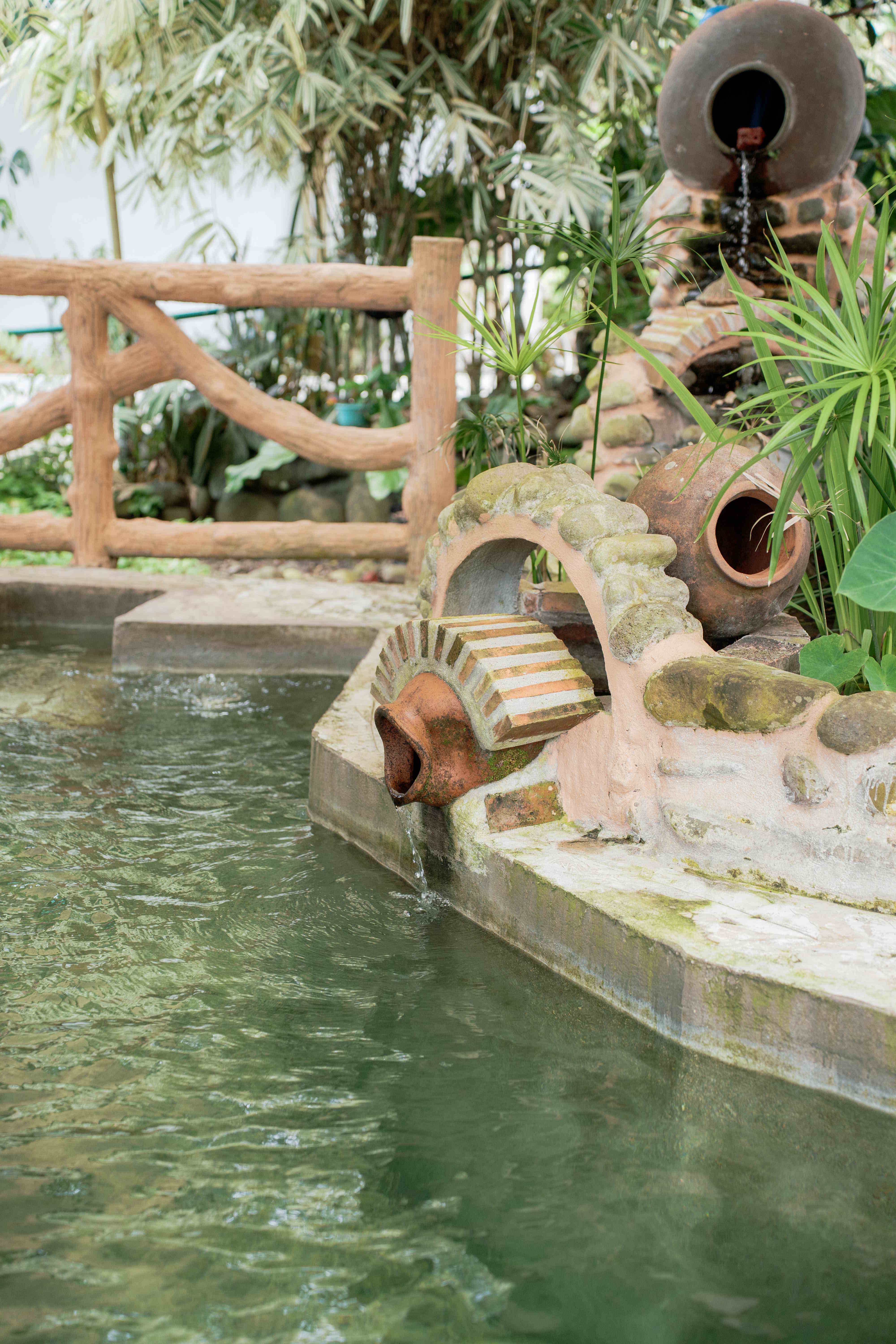 Natural Pool