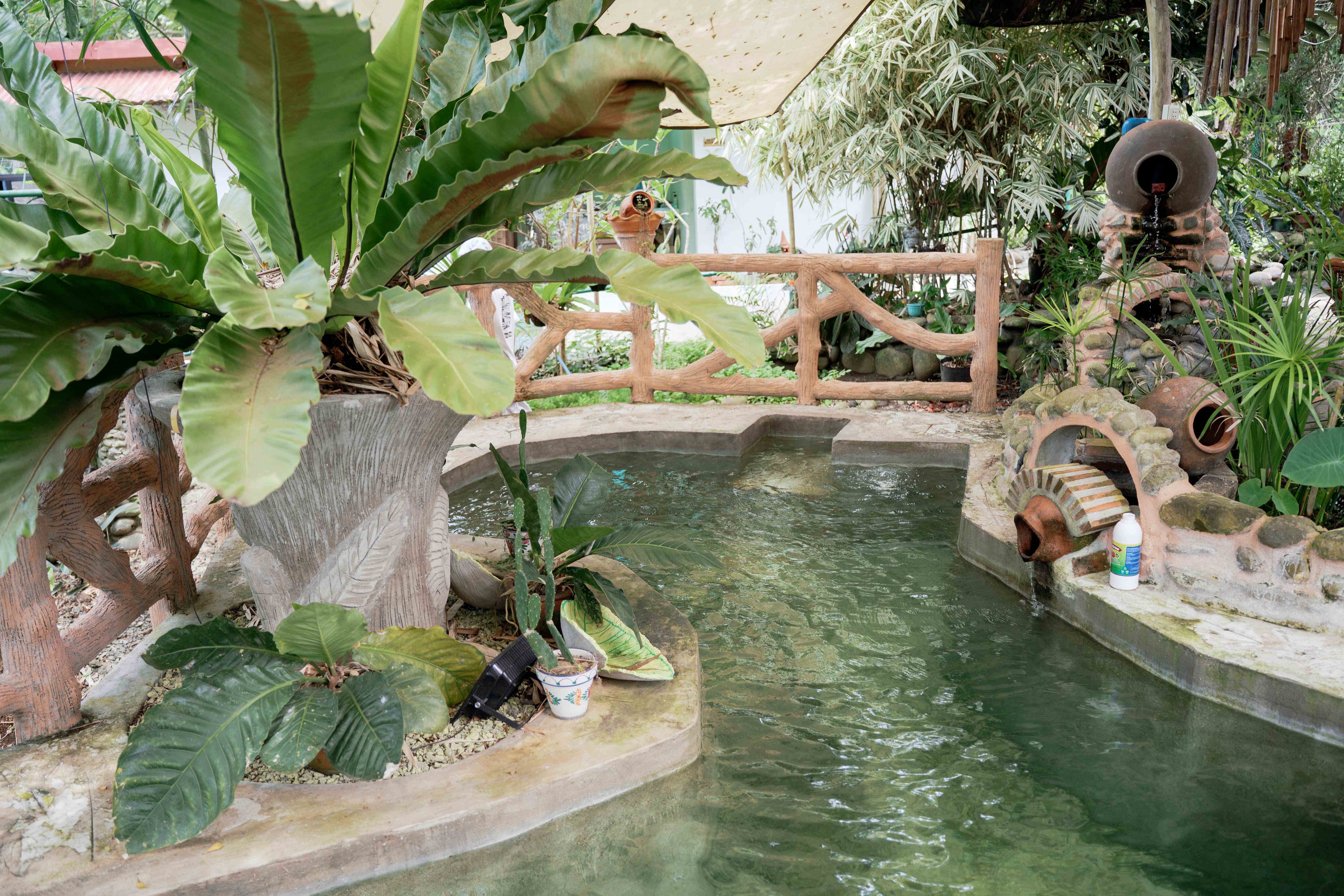 Pool - Close View