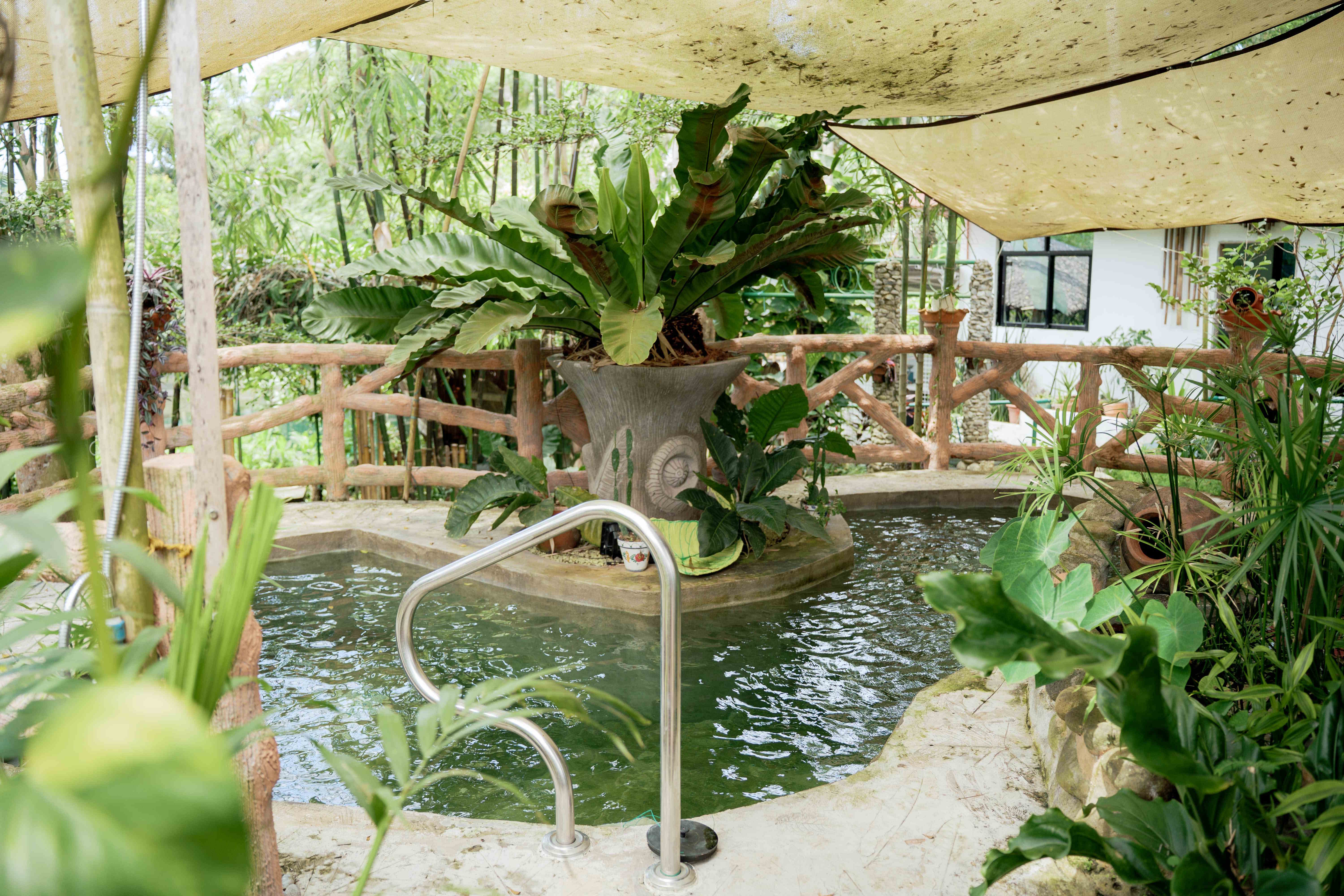 Pool - Side View