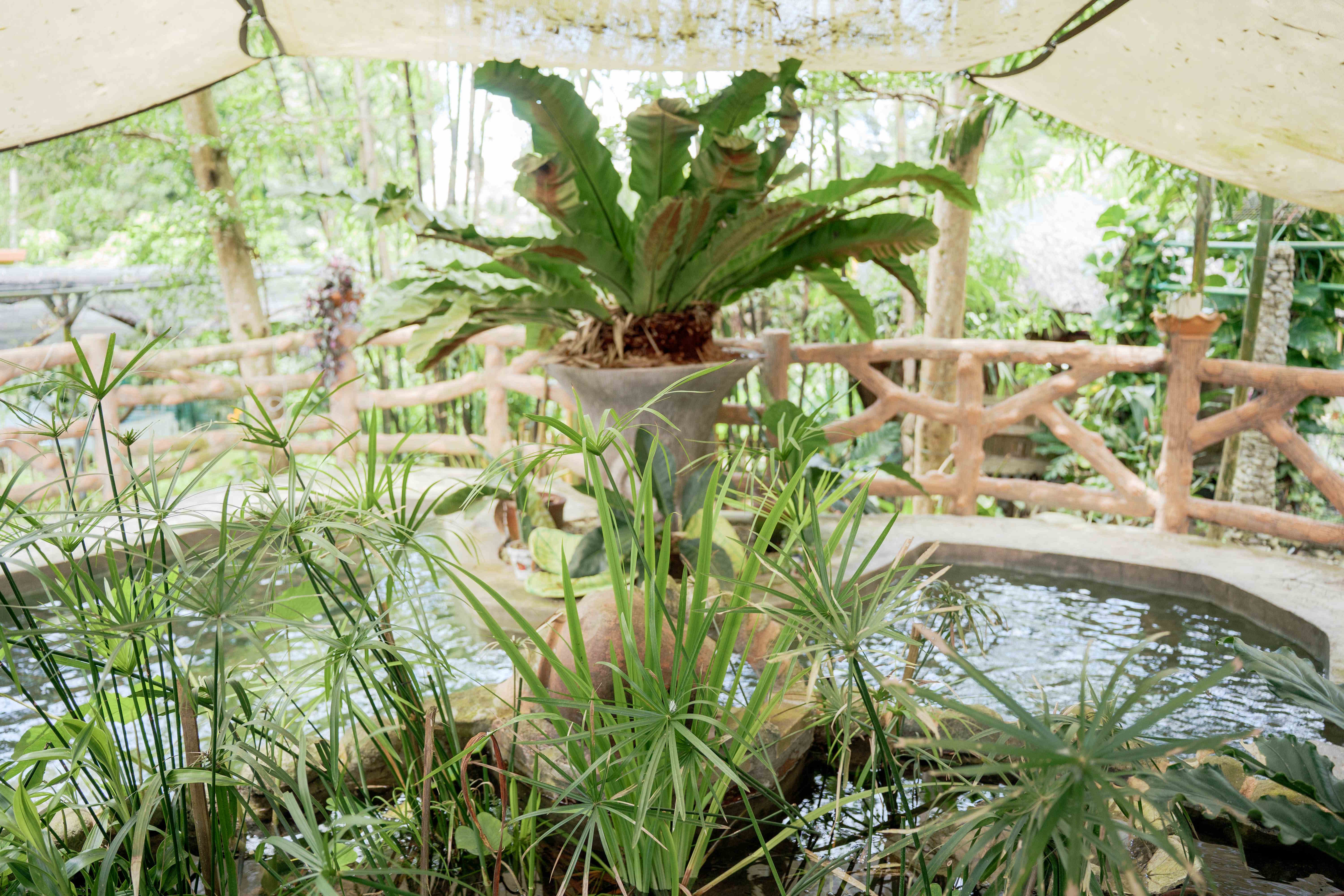 Pool Centerpiece