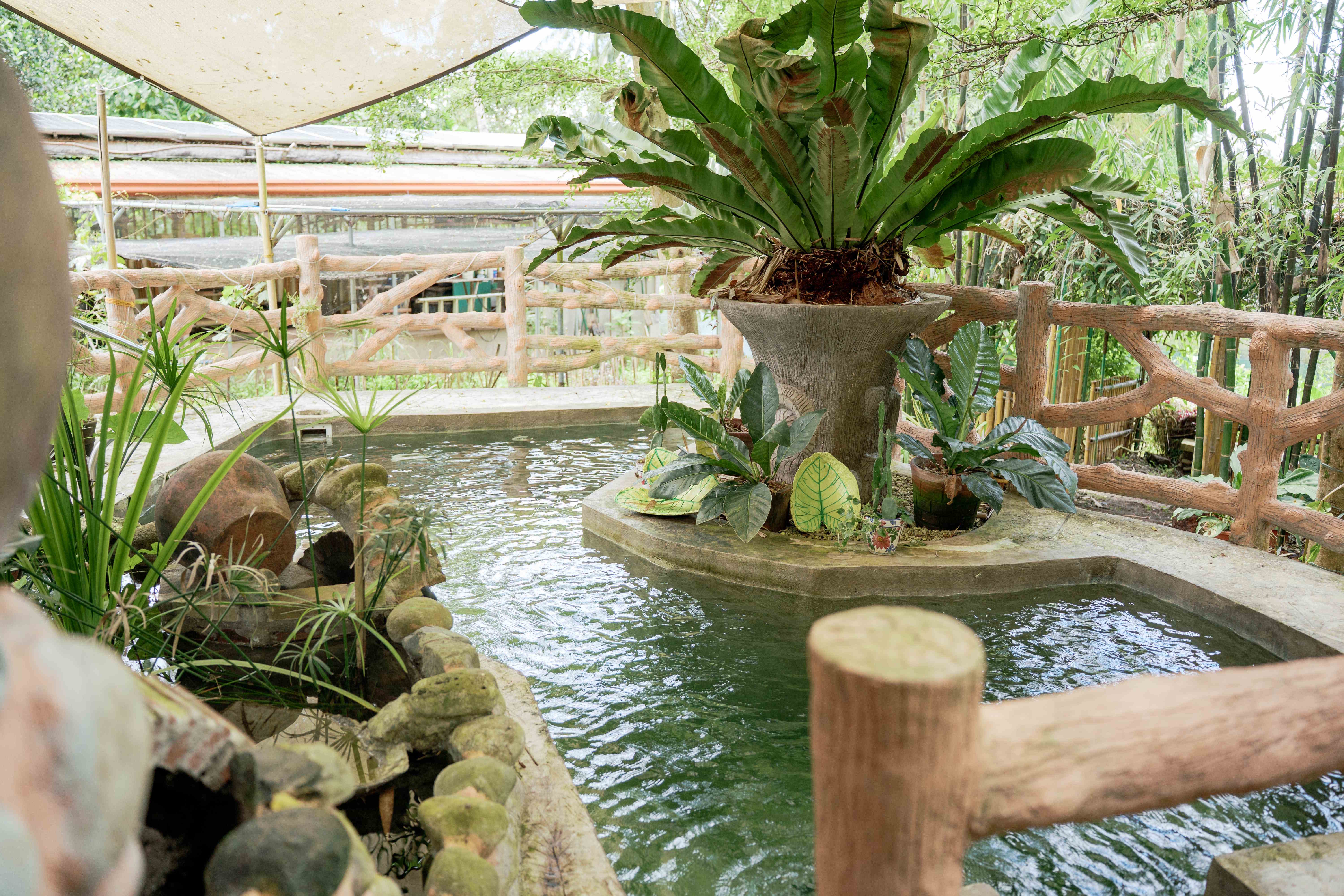 Pool with Wooden Rail