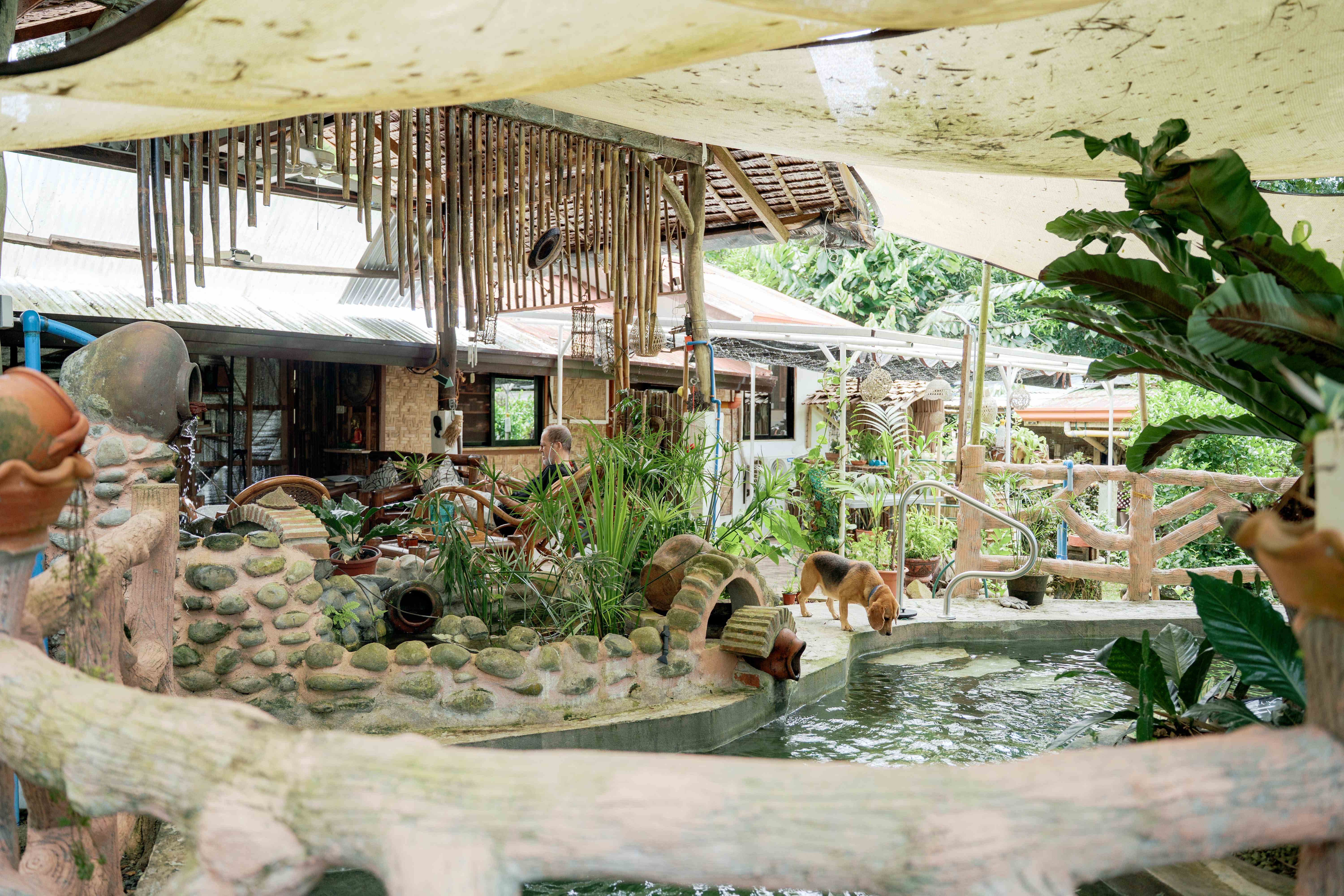 Pool View with Bamboo Decor