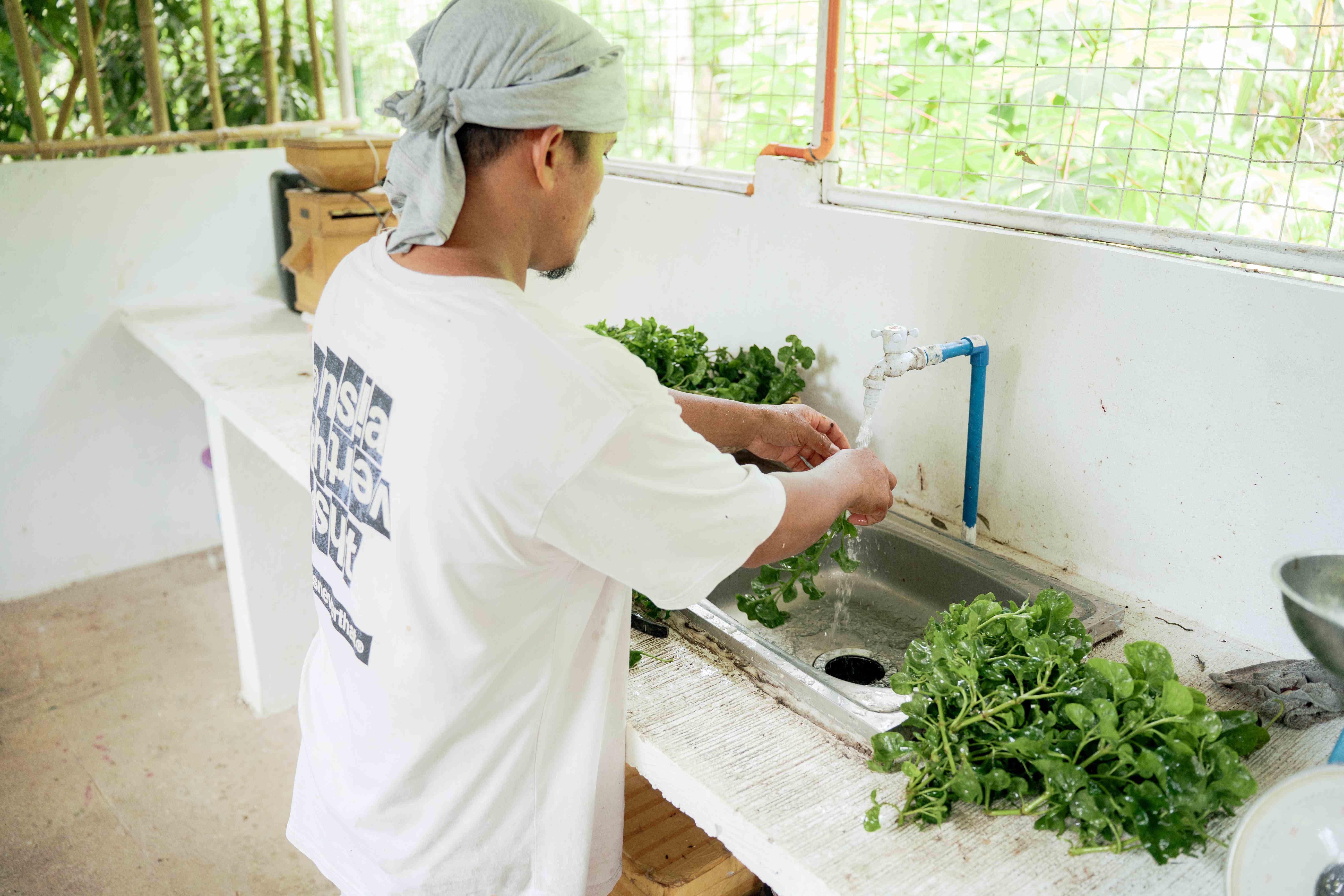 Washing Fresh Greens