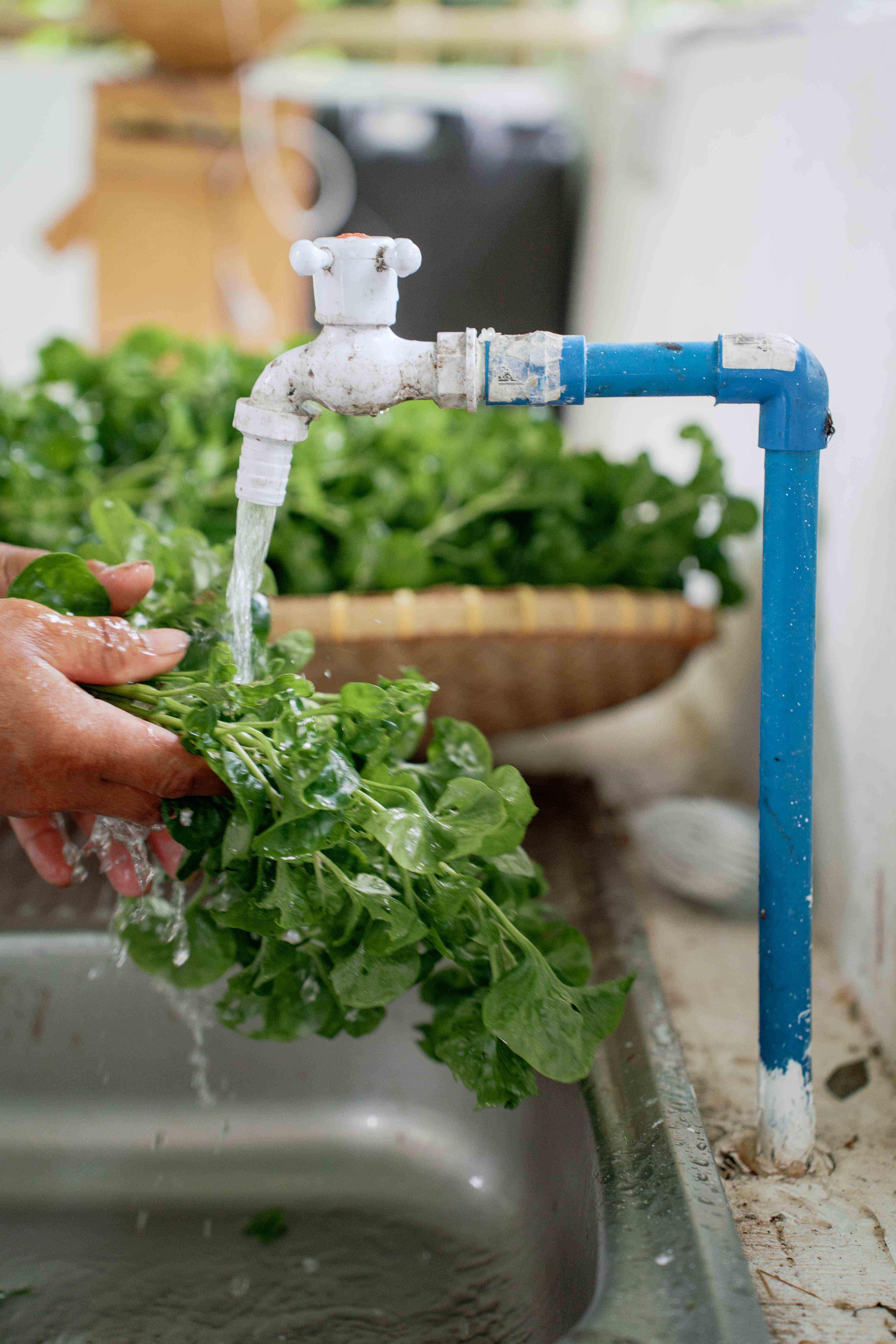 Water Cleaning Station