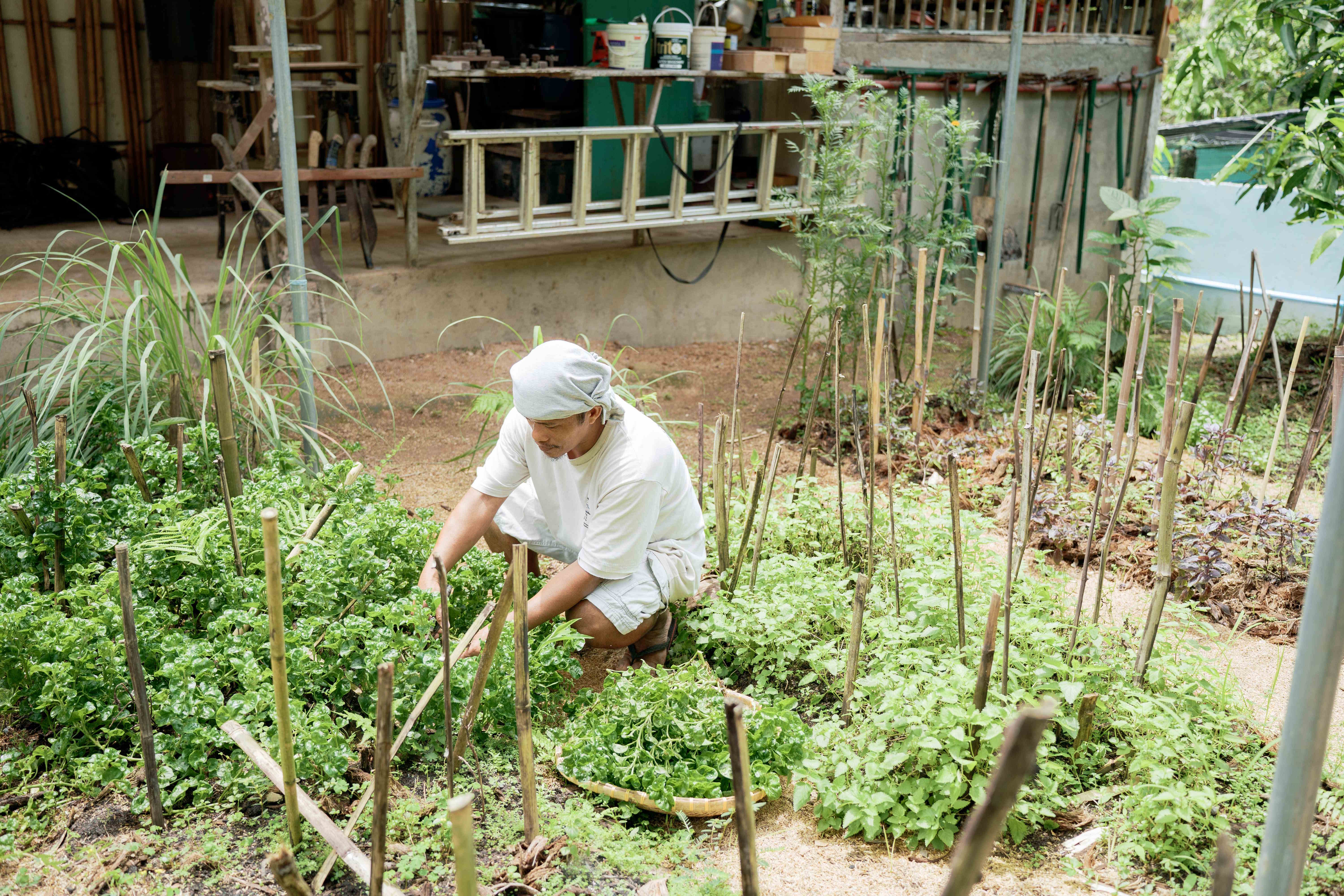 Farmer at Work in Garden