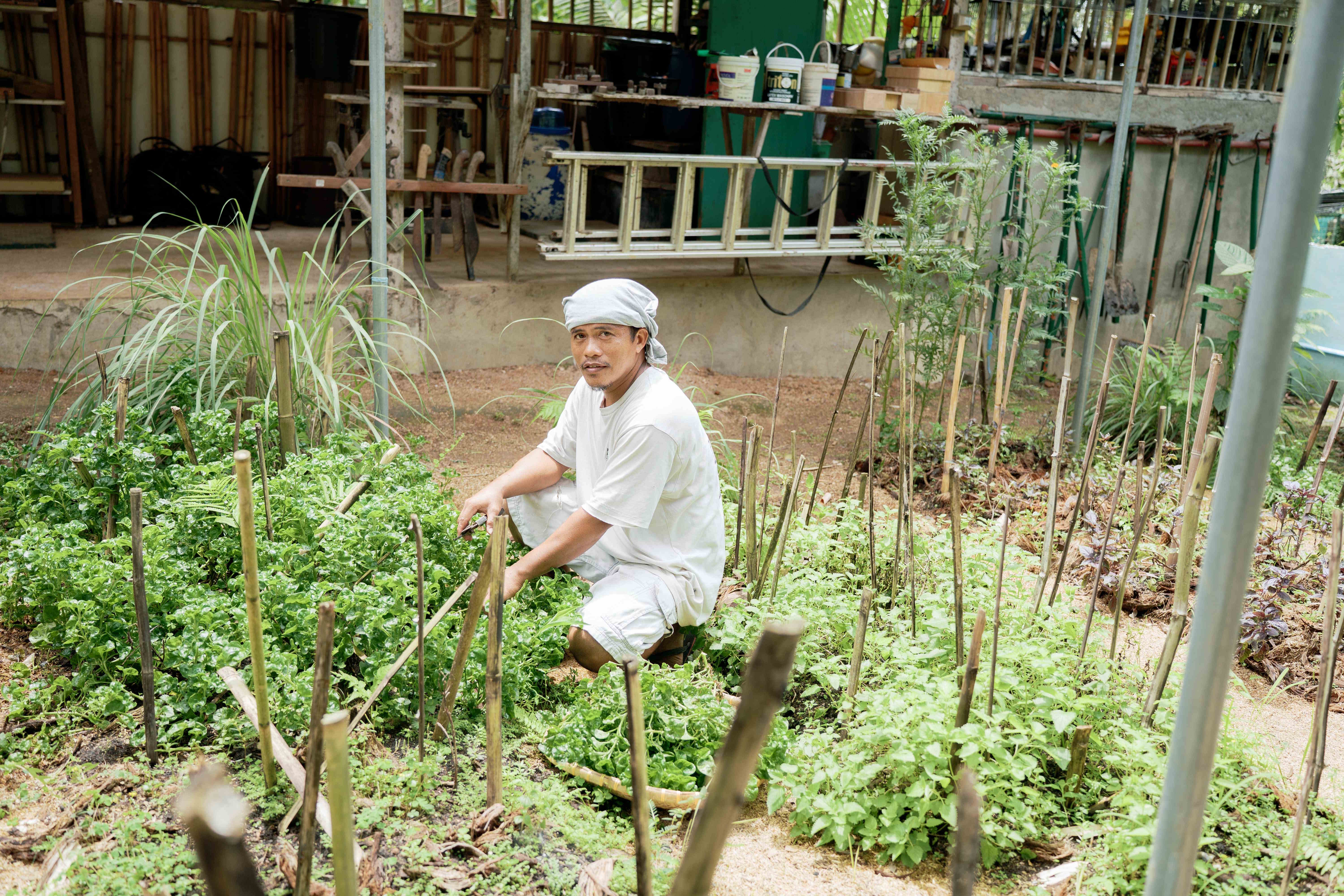 Garden Maintenance