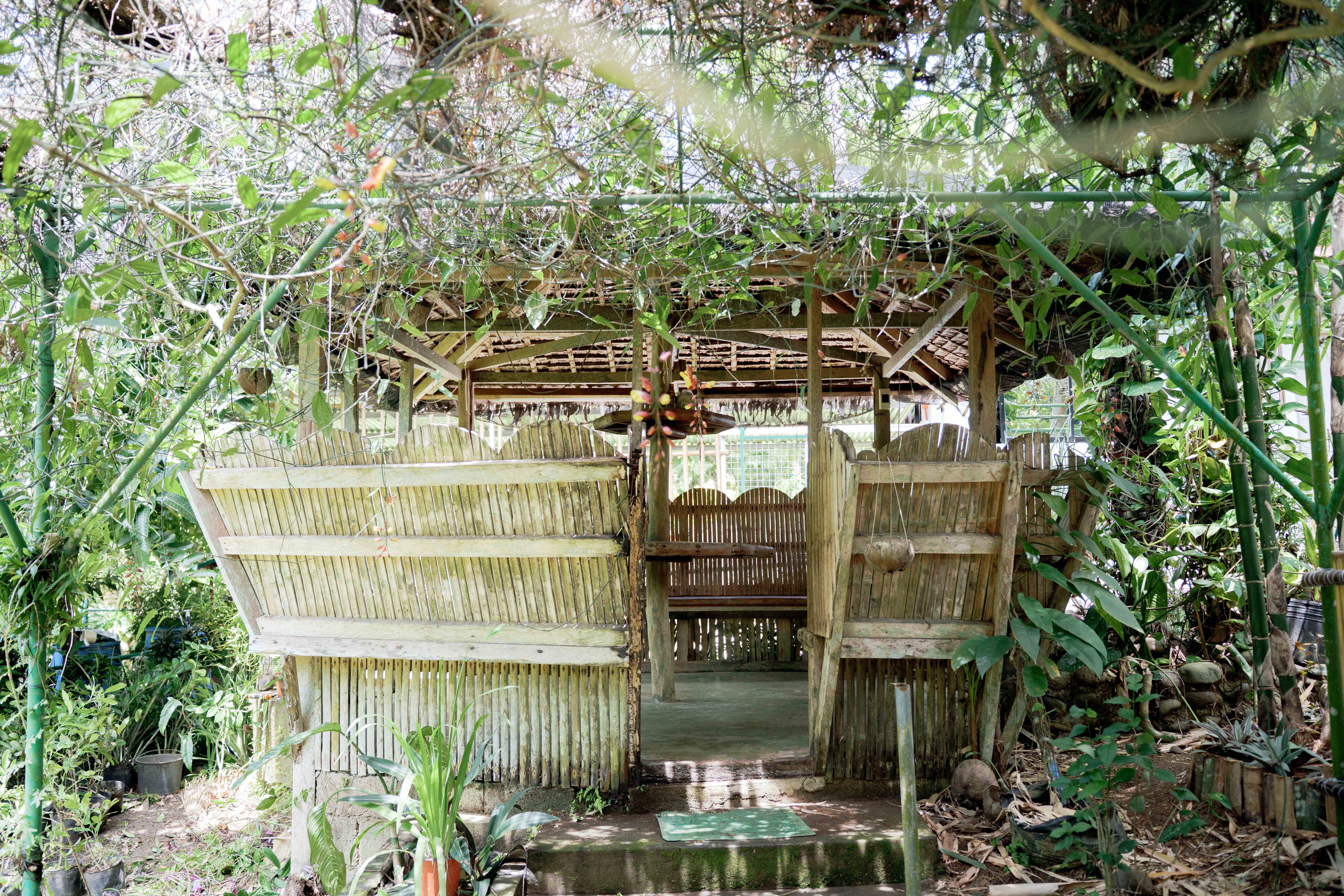 Native Hut by the Water
