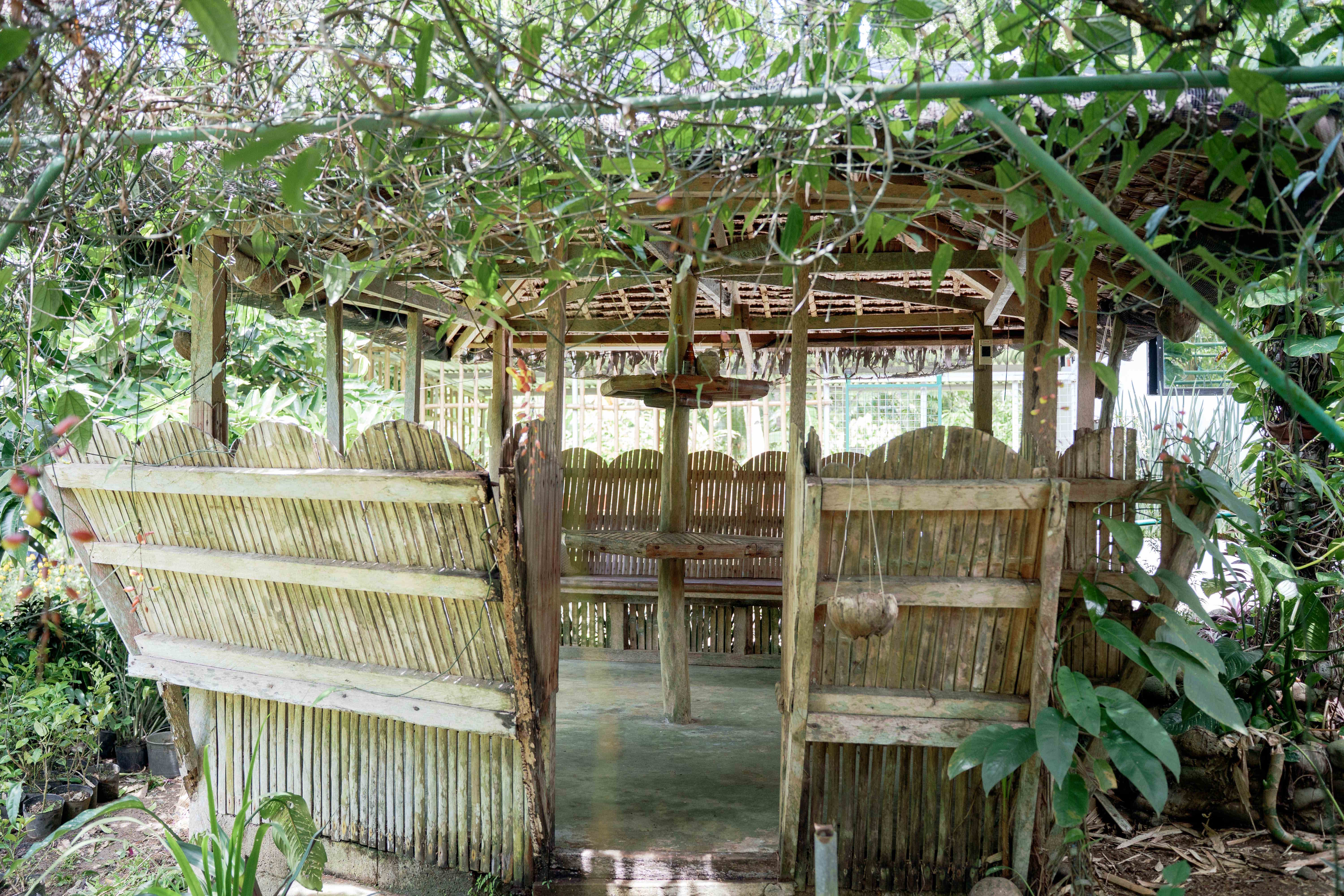 Thatched Resting Hut