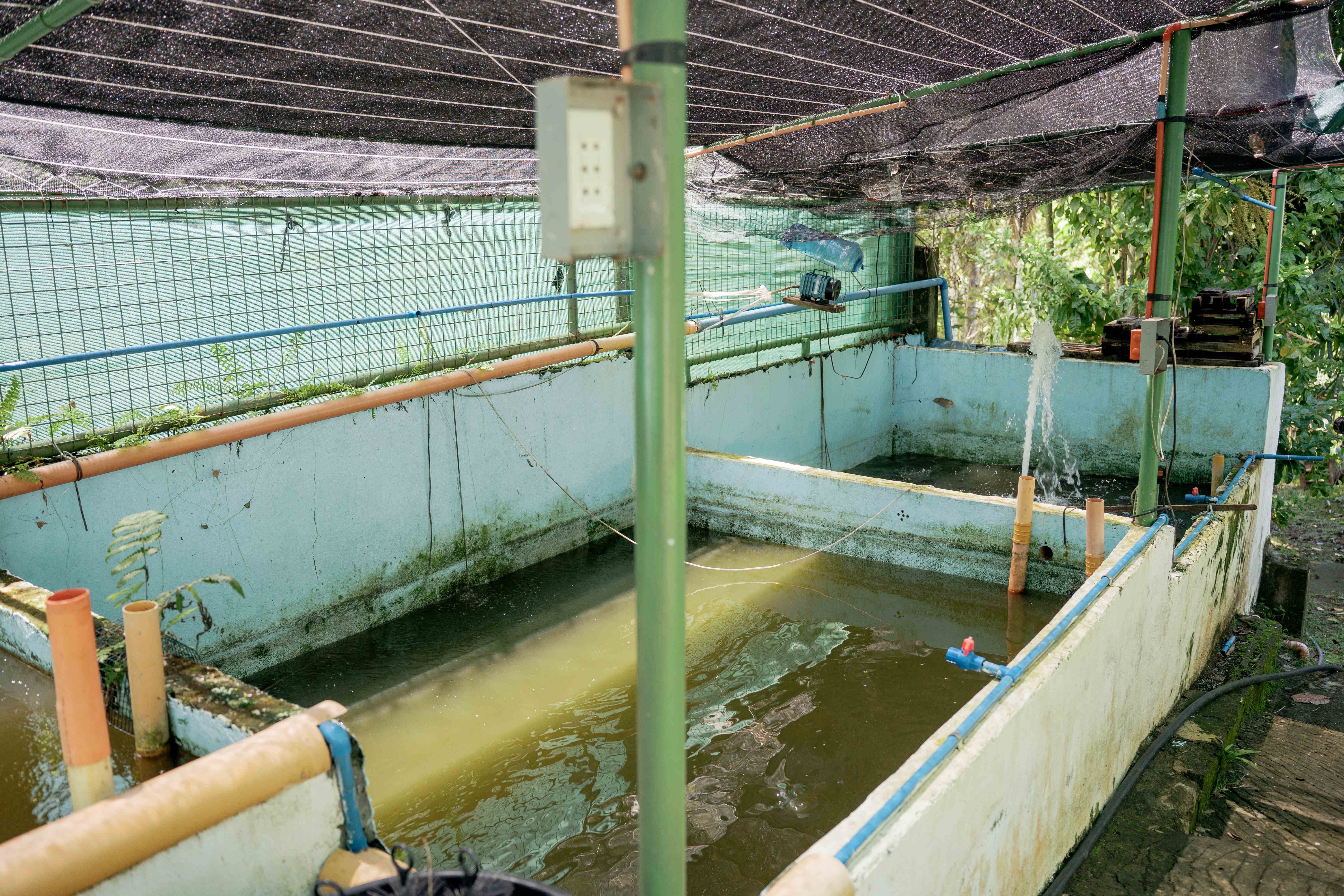 Aquaculture System View