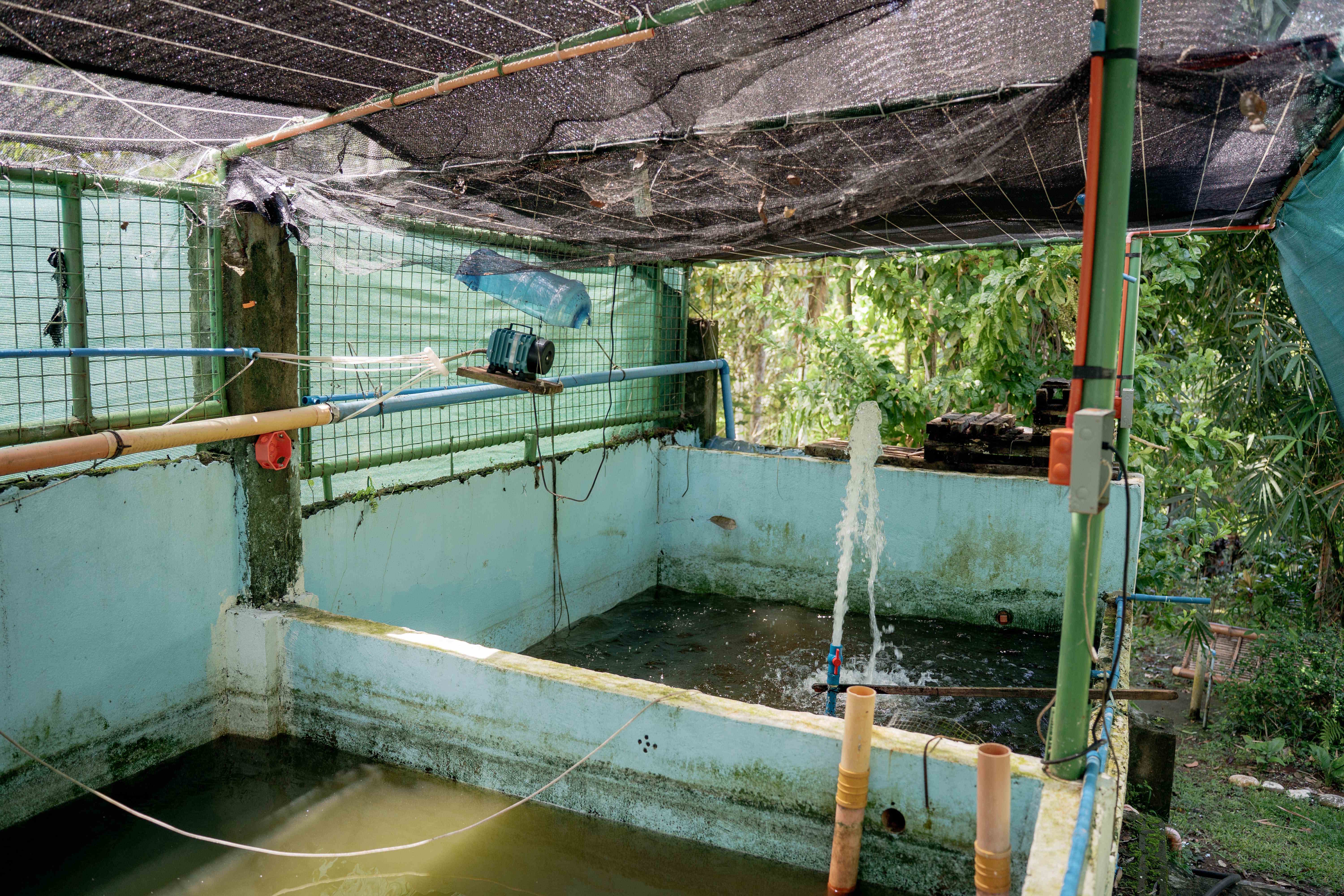 Aquaculture Pond Side View