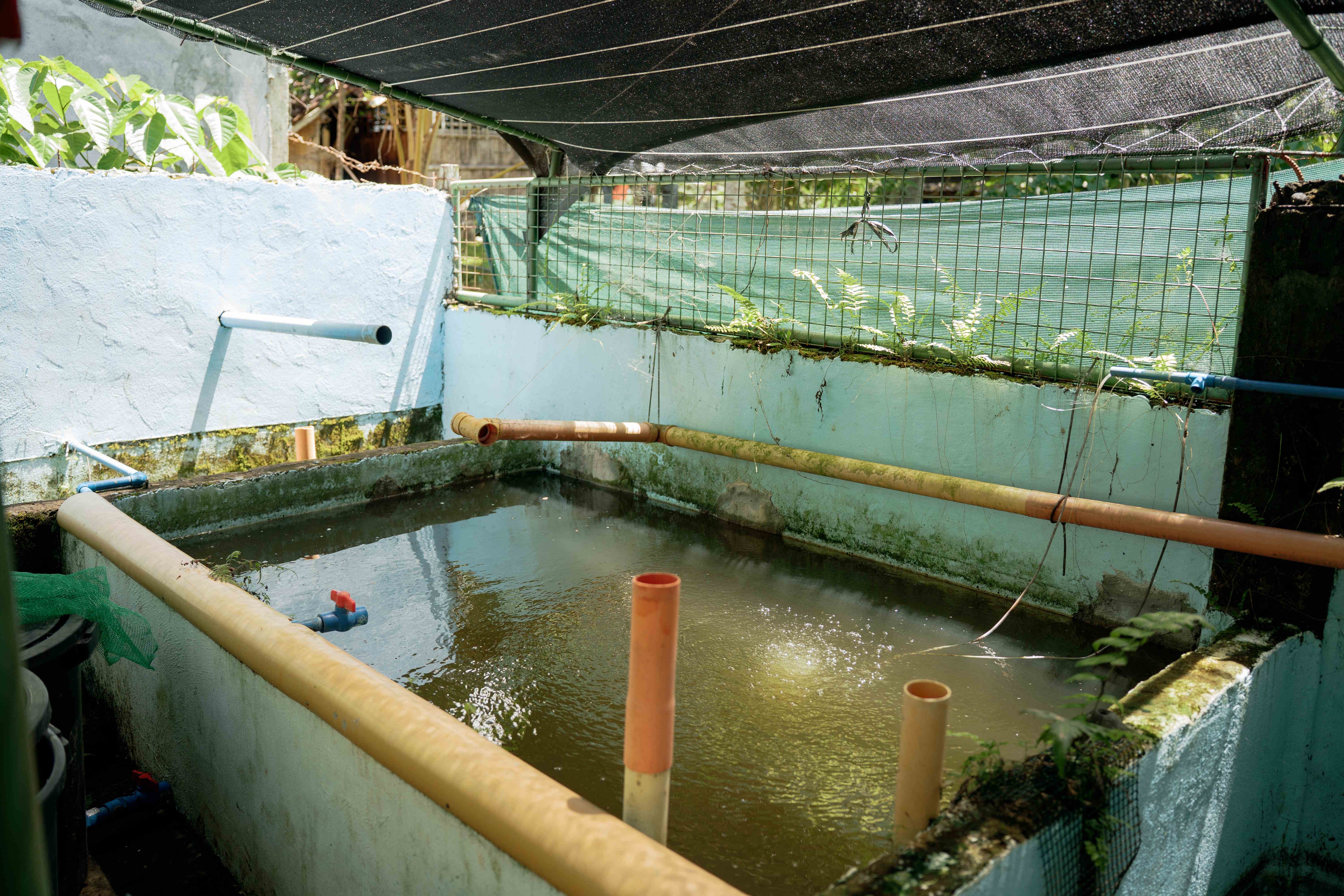 Fish Pond Infrastructure