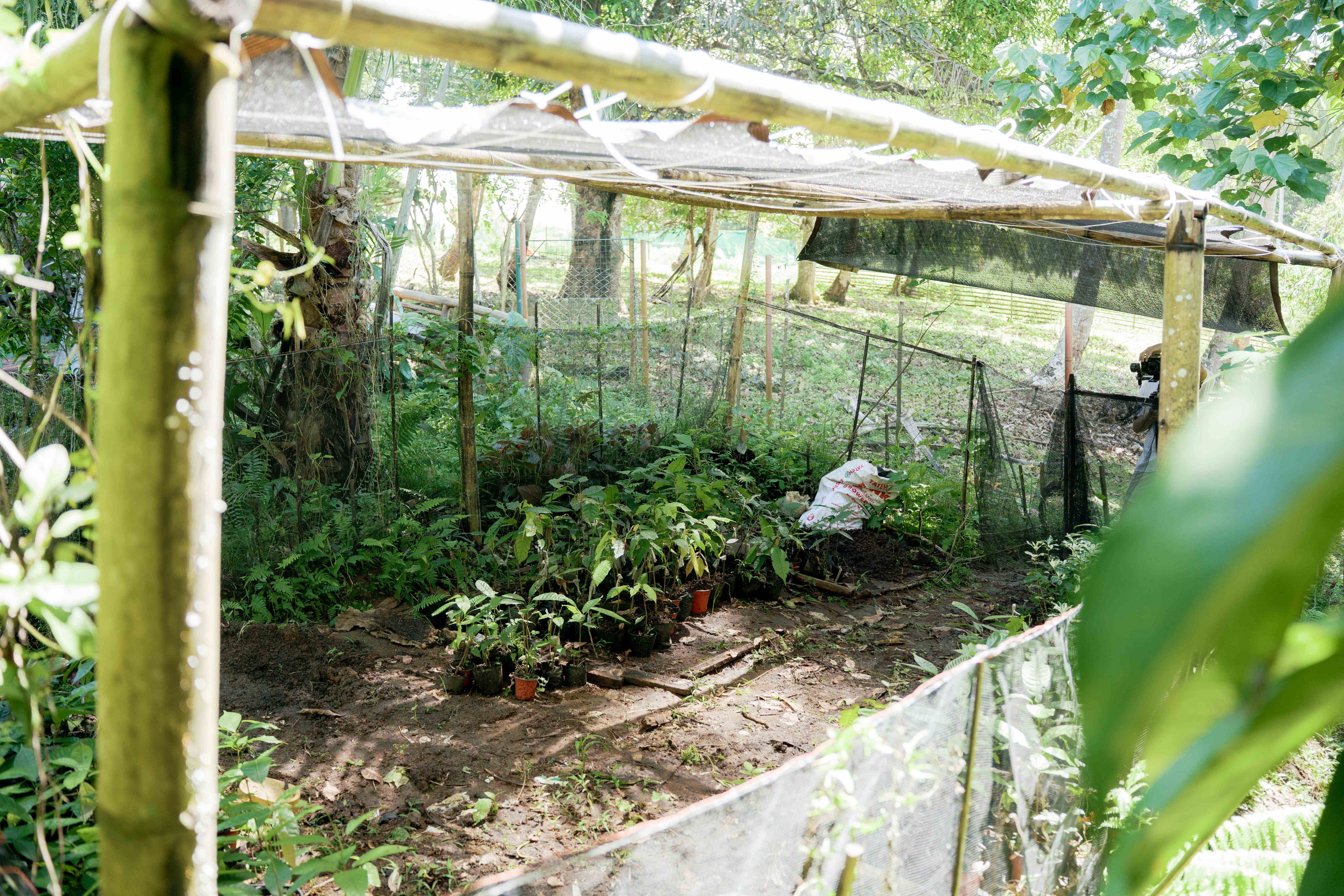 Vegetable Patch with Shade