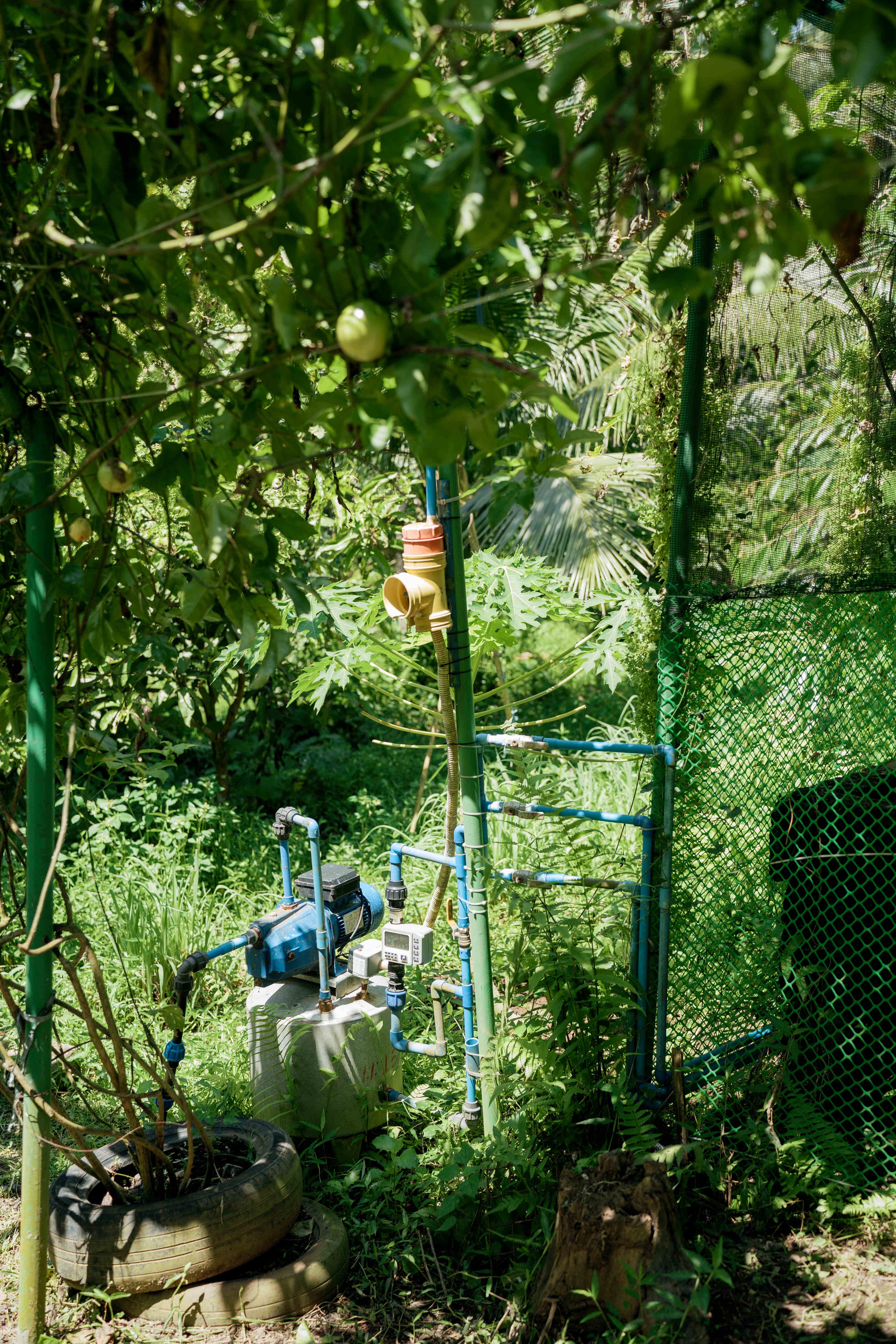 Water Pump and Fence