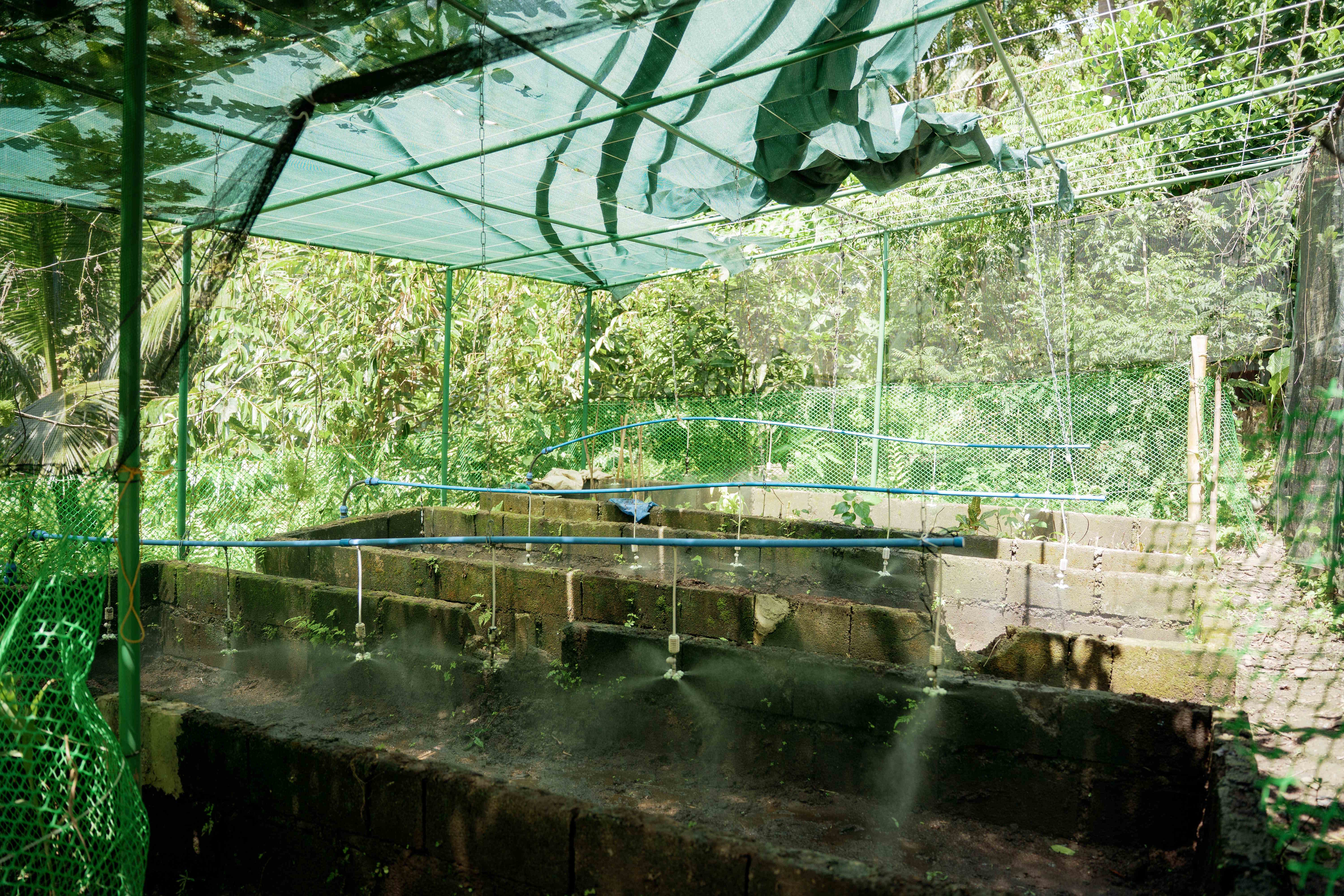 Compost Bed Under Net