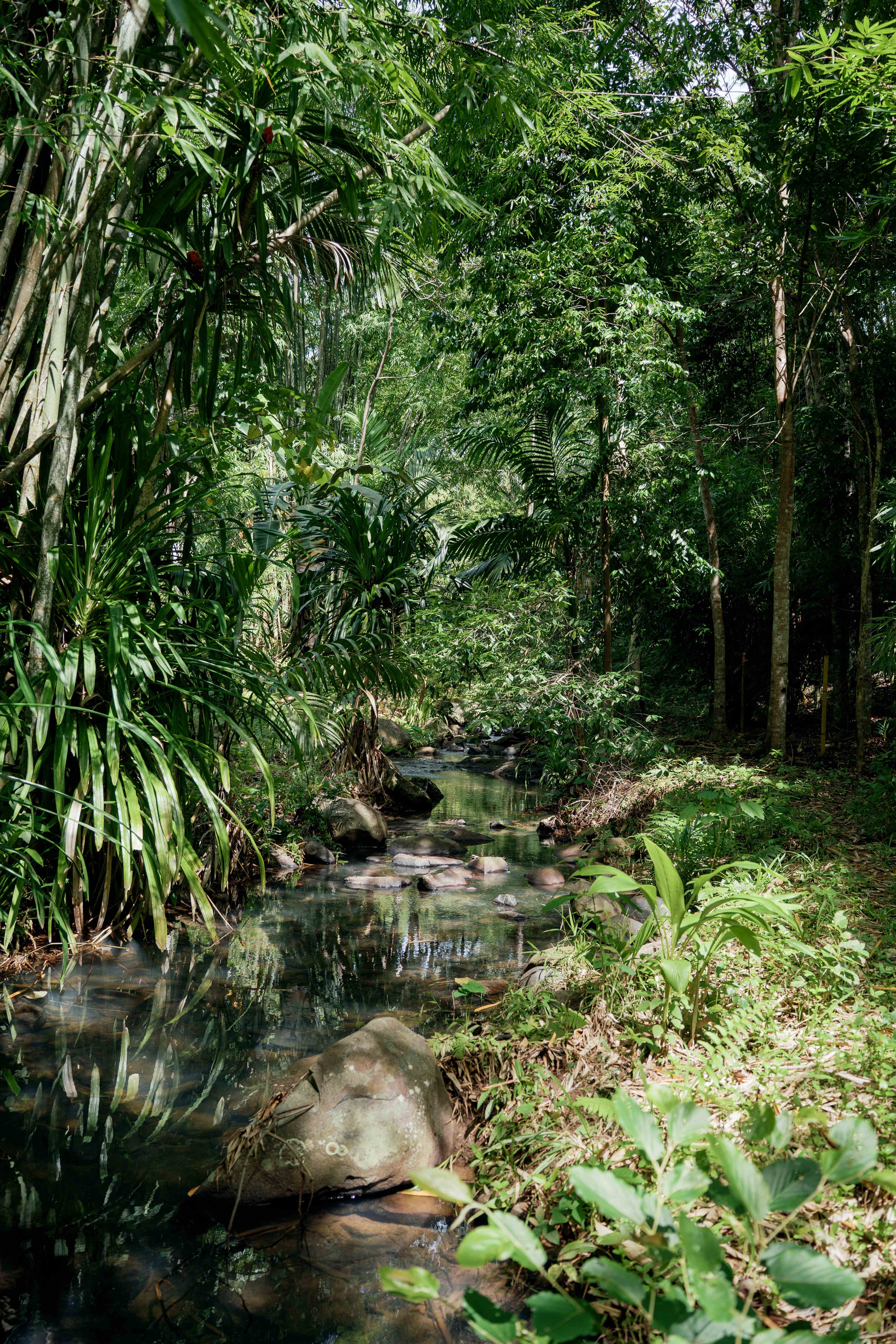 Creek Perspective