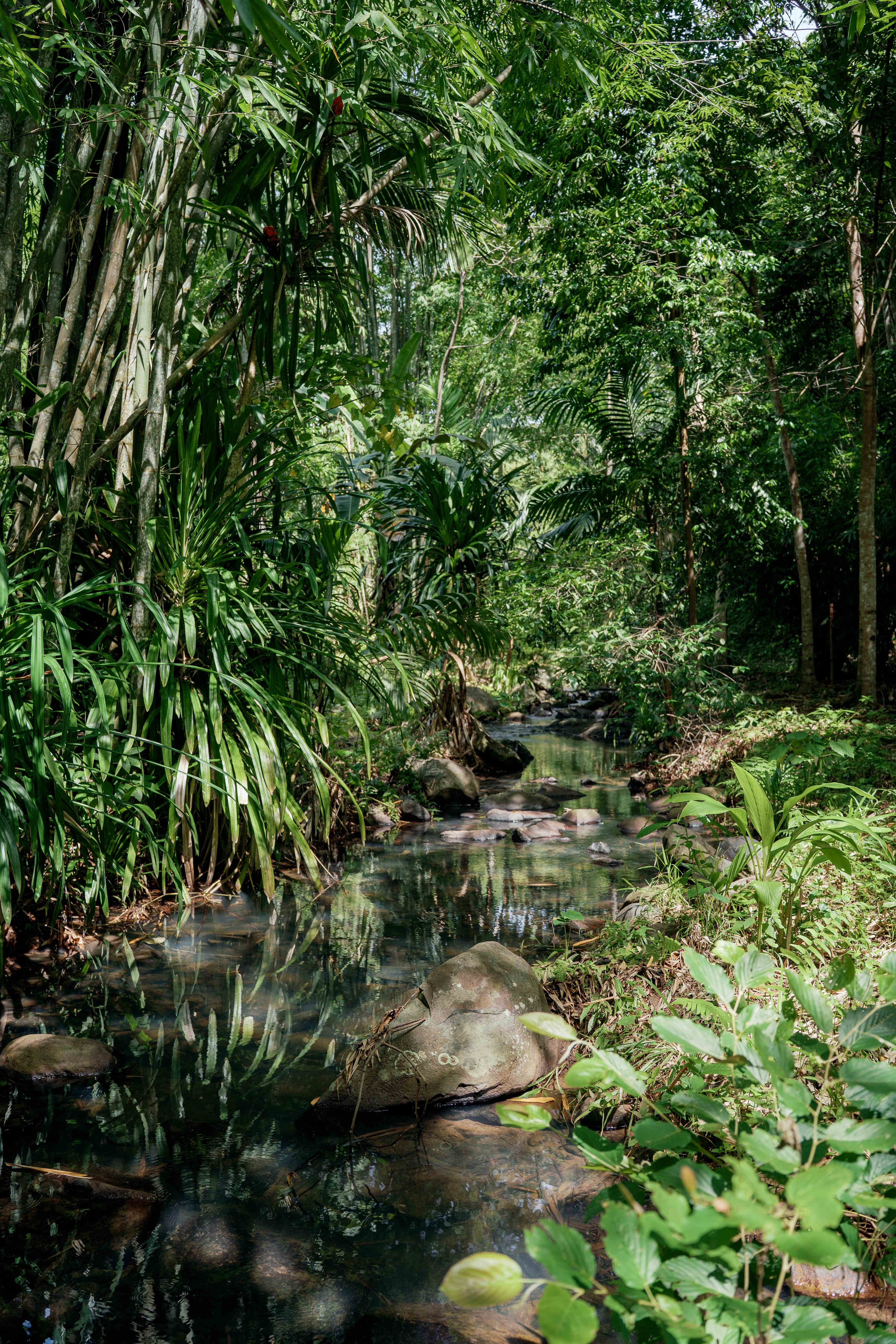Creek Close View