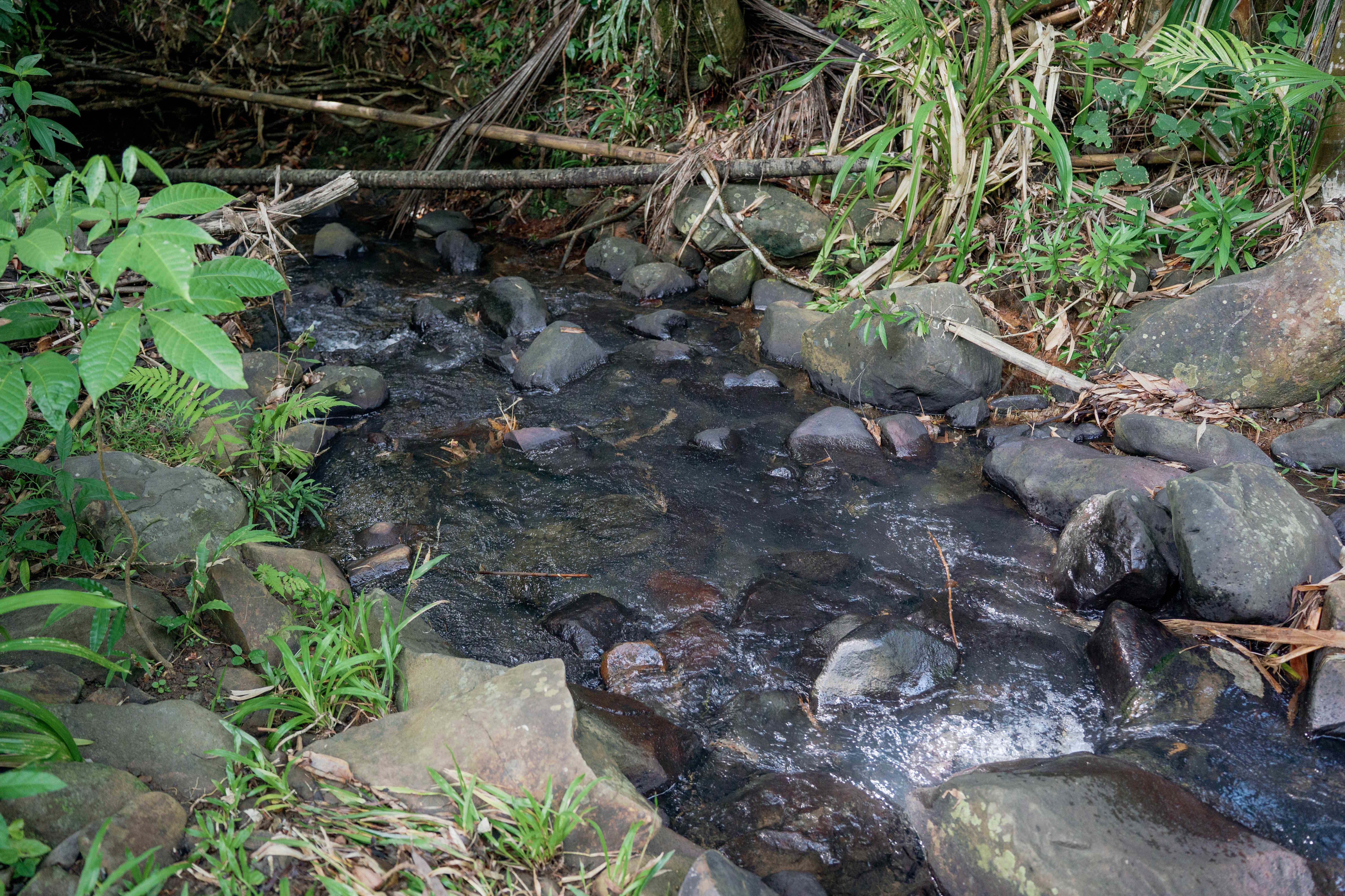Rocky Stream