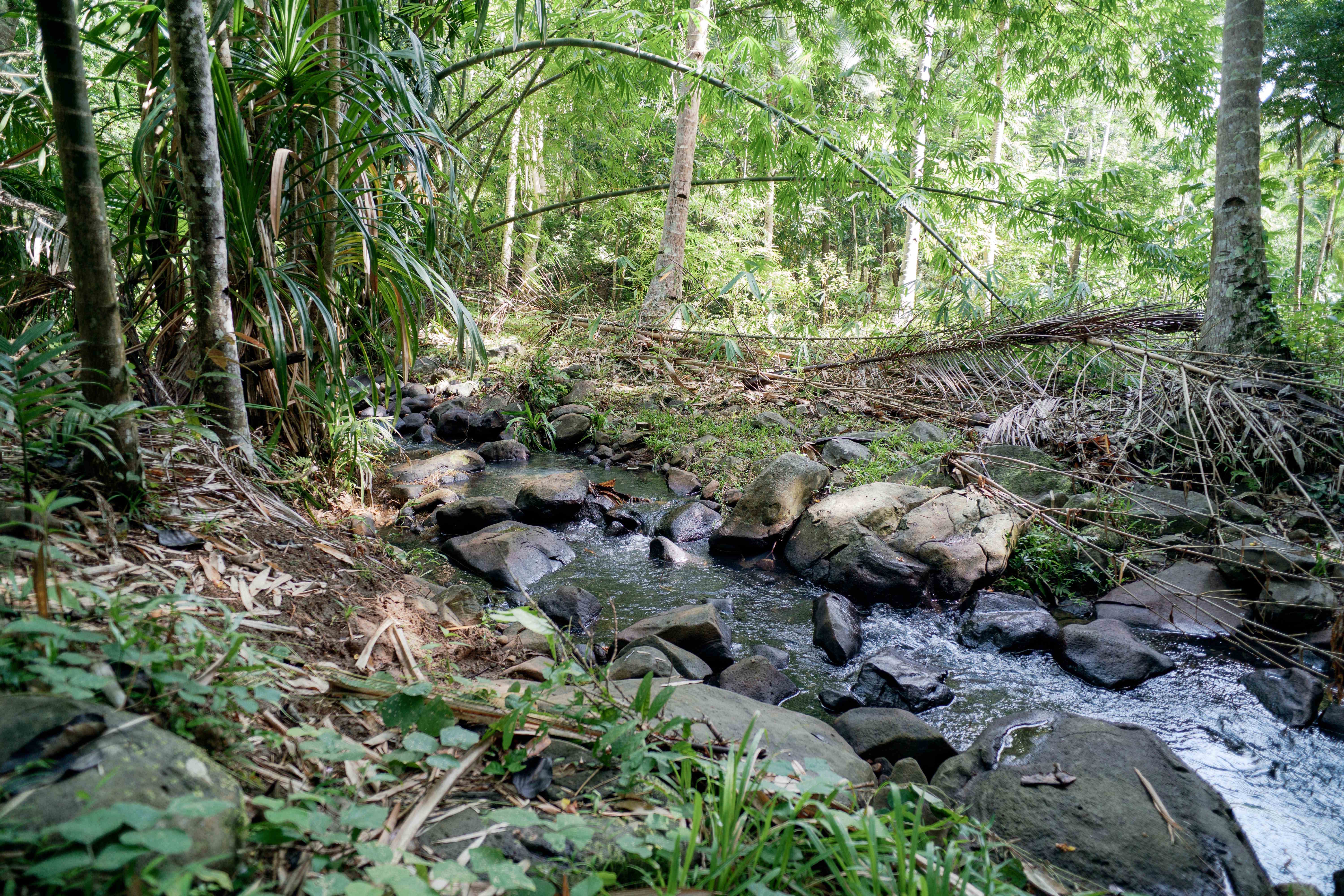 Small Waterfall Section